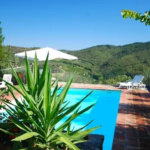 Casa vacanze Olivo Country, Gaiole in Chianti
